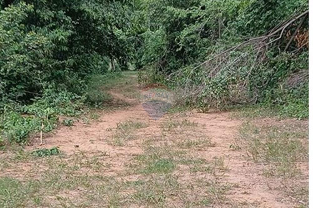 Rezidential - Teren - Paraguay Cordillera Tobatí - PY - 1000265178.jpg - 143019095-21