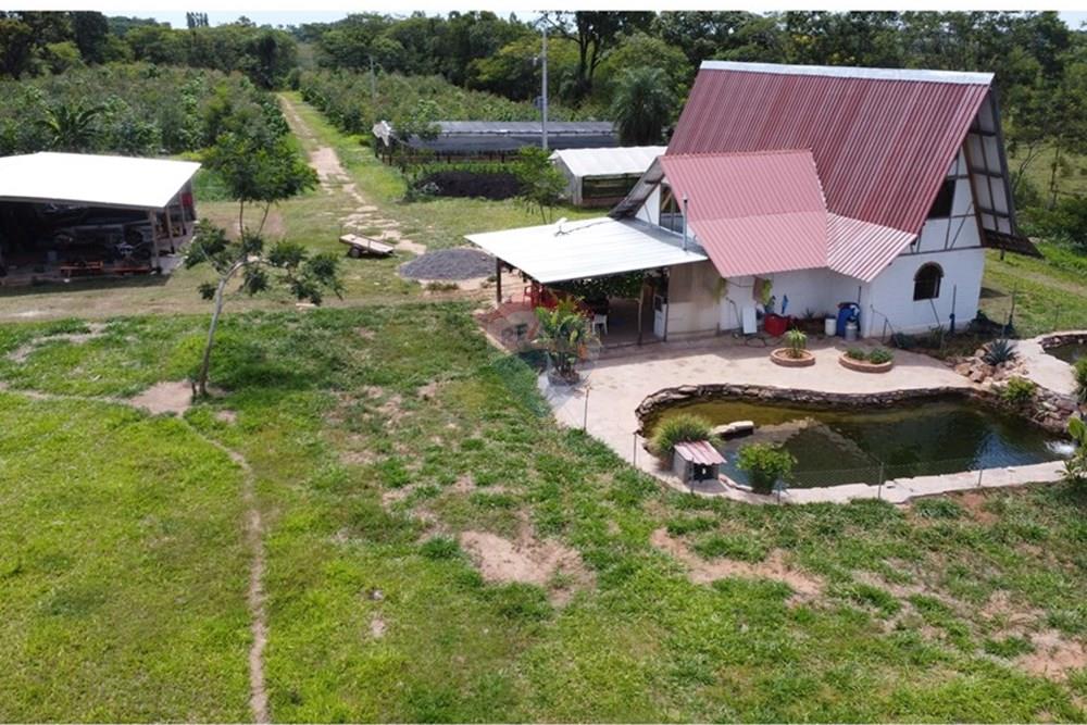 Commercial - Farm - Paraguay Guairá Natalicio Talavera - PY - 1 (1).JPG - 143050155-14