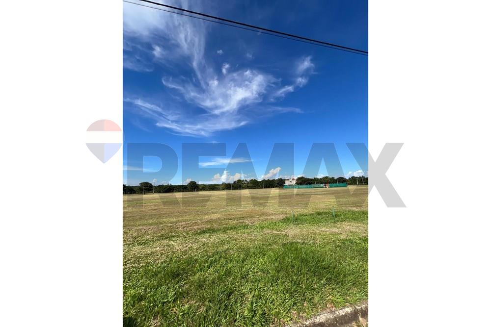 Residential - Land - Paraguay Alto Paraná Hernandarias - PY - WhatsApp Image 2026-01-16 at 11.30.17.jpeg - 143050150-45