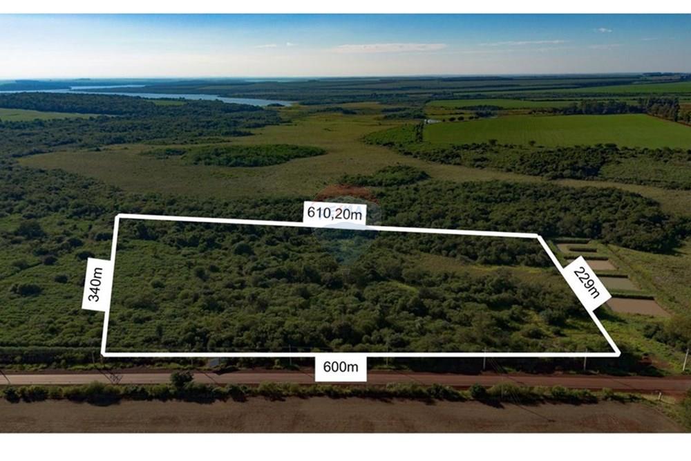 Commercial - Farm - Paraguay Alto Paraná Santa Fe del Paraná - PY - WhatsApp Image 2025-03-30 at 17.17.07.jpeg - 143050054-80