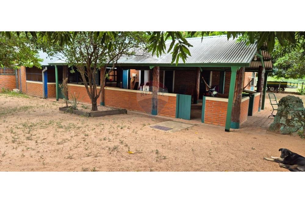 Commercial - Farm - Paraguay San Pedro General Elizardo Aquino - PY - IMG_20250707_090233_199.jpg - 143050060-297