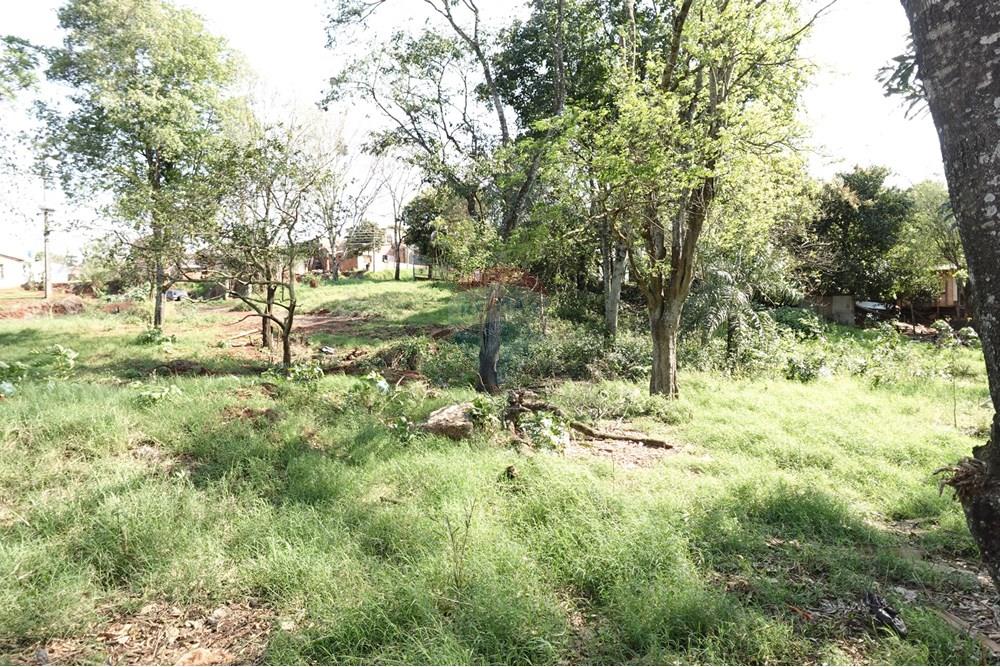 Residential - Land - Paraguay Alto Paraná Minga Guazú - PY - DSC00322.JPG - 143050081-118