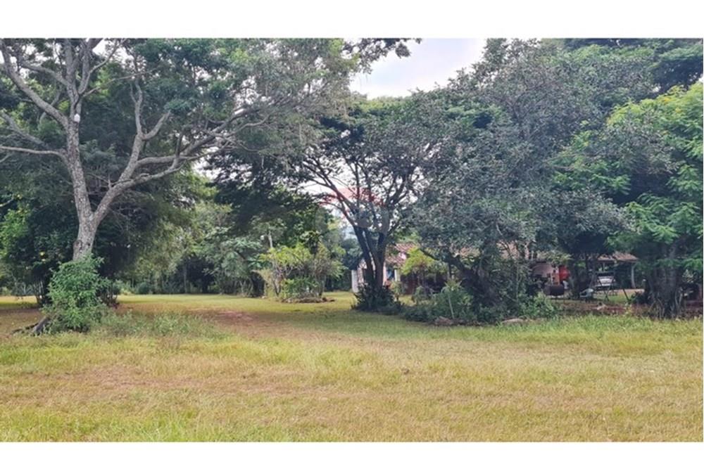 Residential - Land - Paraguay Misiones San Ignacio - PY - WhatsApp Image 2025-07-23 at 18.50.52 (1).jpeg - 143085037-6