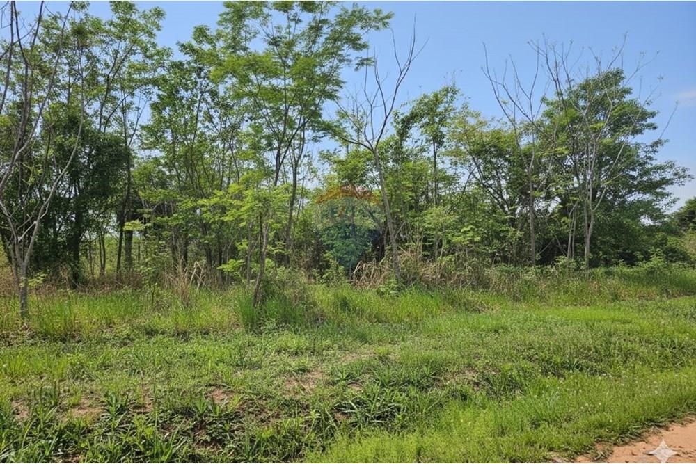 Residential - Maa - Paraguay Central Mariano Roque Alonso - PY - WhatsApp Image 2025-10-09 at 10.07.37 AM.jpeg - 143036152-3