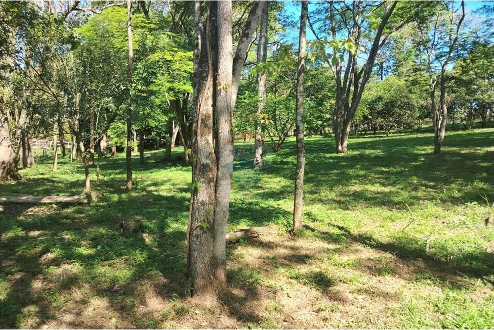 Commercial - Farm for Agriculture - Paraguay Alto Paraná Ciudad Del Este - PY - IMG_20251007_133415_409.jpg - 143050060-305