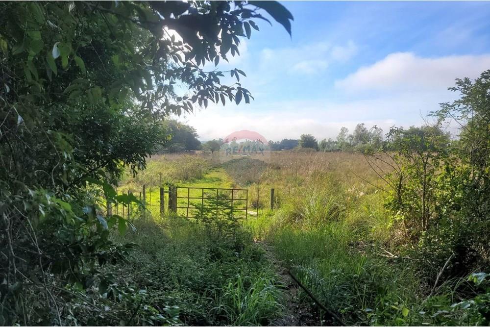 Finca Agrícola - Venta - Paraguay Caazapá Caazapá - 5.jpg - 143095004-83