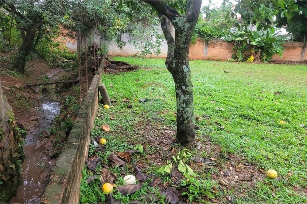Terreno - Venta - Paraguay Caazapá Caazapá - 5.jpg - 143095004-82