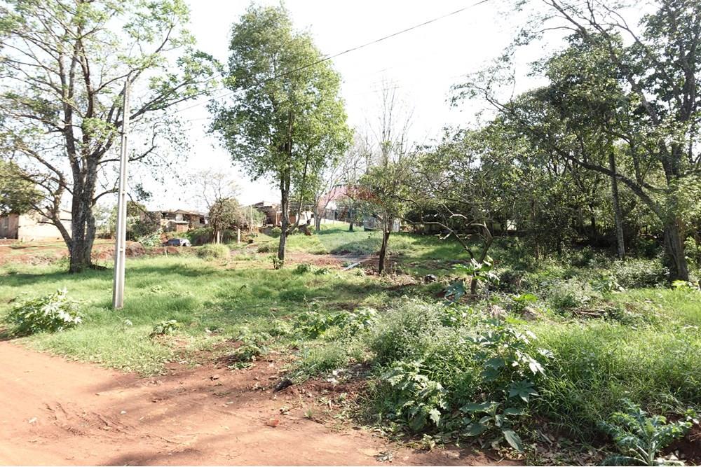 Residential - Land - Paraguay Alto Paraná Minga Guazú - PY - DSC00325.JPG - 143050081-118