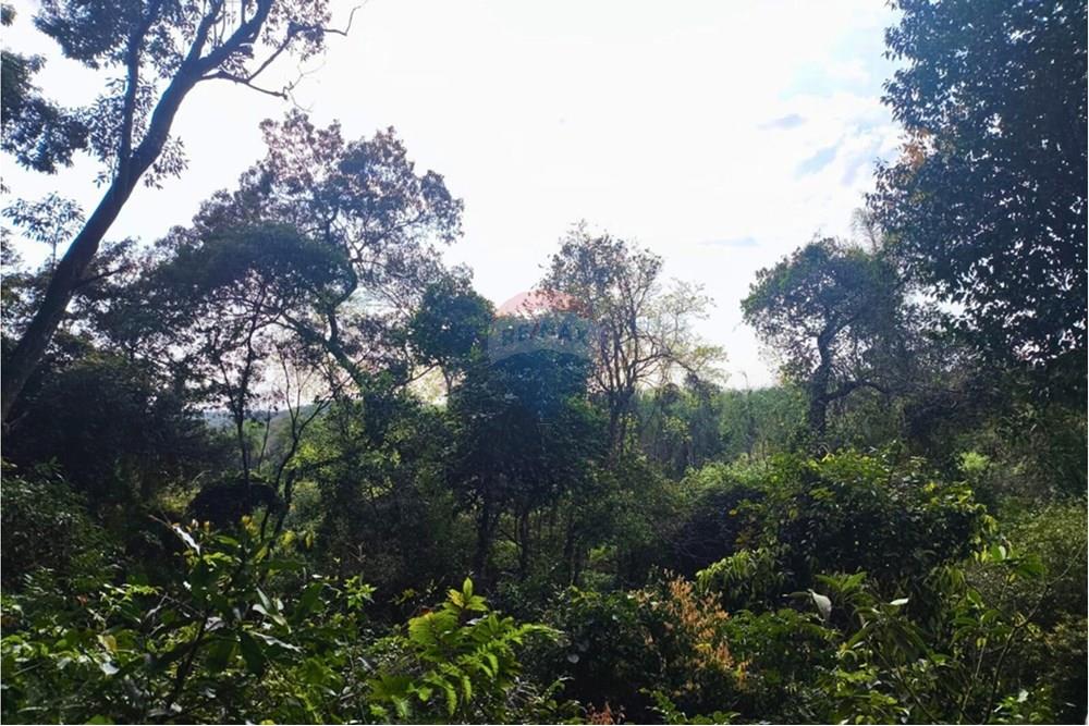 Residential - Jord - Paraguay Caaguazú Coronel Oviedo - PY - 5.jpg - 143063128-220