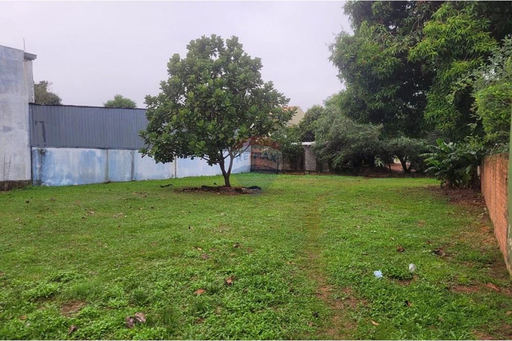 Terreno - Venta - Paraguay Caazapá Caazapá - 7.jpg - 143095004-82