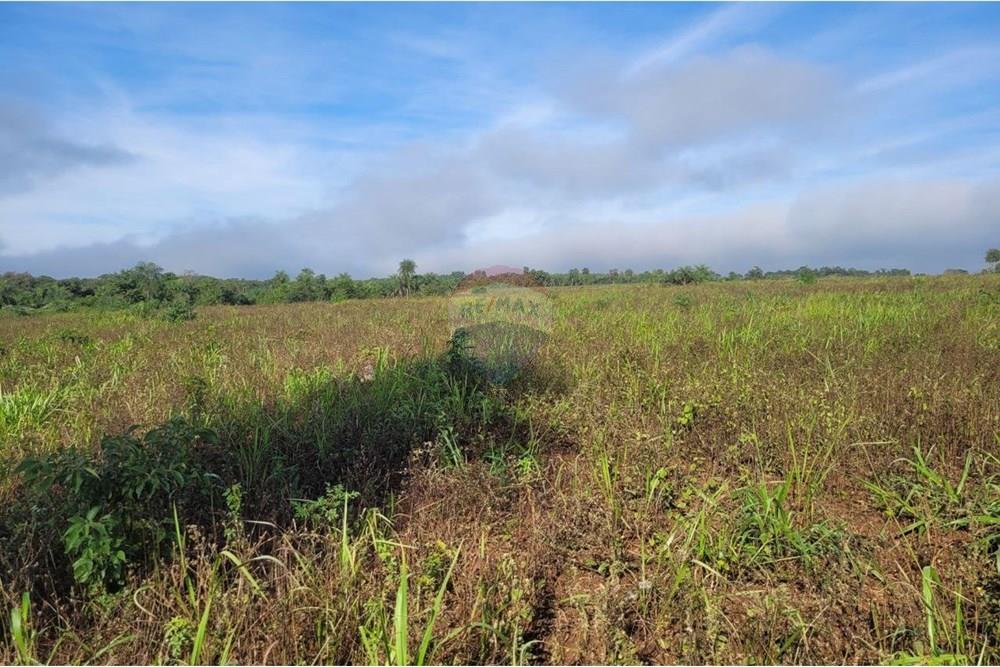 Finca Agrícola - Venta - Paraguay Caazapá Caazapá - 10.jpg - 143095004-83