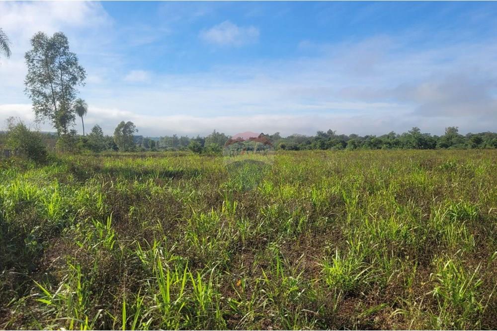 Finca Agrícola - Venta - Paraguay Caazapá Caazapá - 6.jpg - 143095004-83
