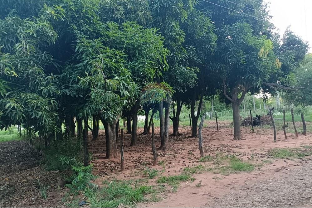 Terreno - Venta - Paraguay Central Aregua - WhatsApp Image 2025-02-06 at 4.43.49 PM.jpeg - 143095028-5