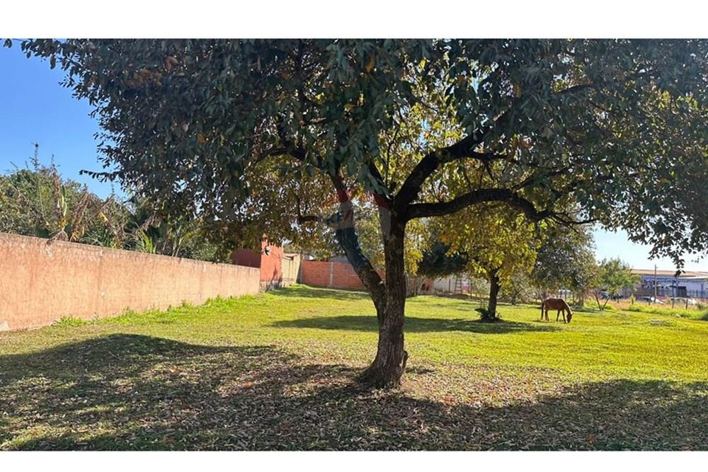 Residential - 땅 - Paraguay Alto Paraná Ciudad Del Este - PY - WhatsApp Image 2025-07-15 at 14.53.38 (1).jpeg - 143050002-211