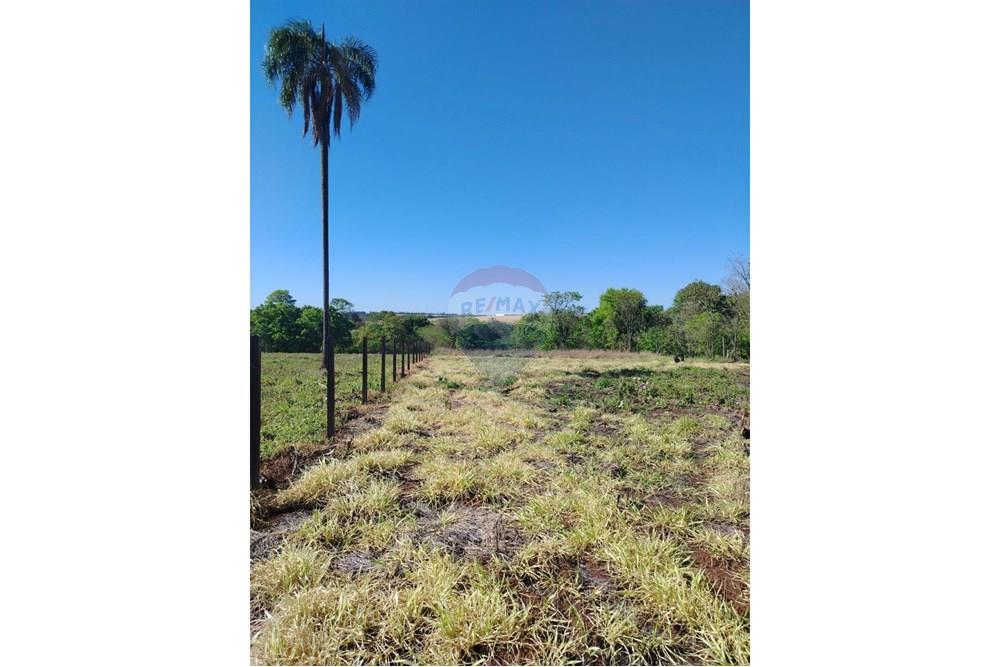 Commercial - Farm for Agriculture - Paraguay Alto Paraná Ciudad Del Este - PY - IMG_20251007_133347_886.jpg - 143050060-305