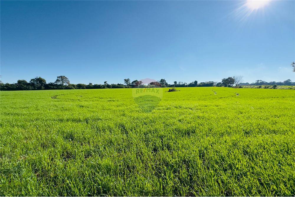 Mieszkaniowa - Działka - Paragwaj Itapúa Cambyretá - PY - 14 - 143011030-221