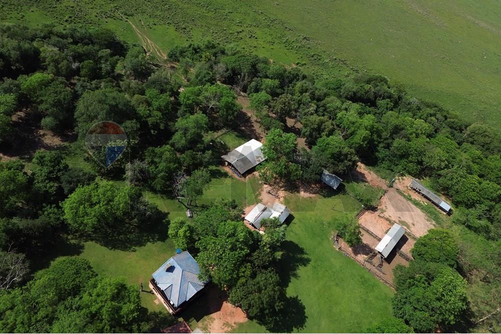 Commercieel - Boerderij - Paraguay Caaguazú Coronel Oviedo - PY - DJI_0647.JPG - 143050100-33