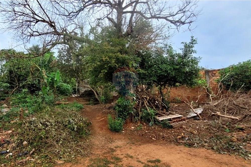 Gyvenamasis - Žemės sklypas - Paragvajus Alto Paraná Ciudad Del Este - PY - T CDE 3.jpeg - 143094036-28