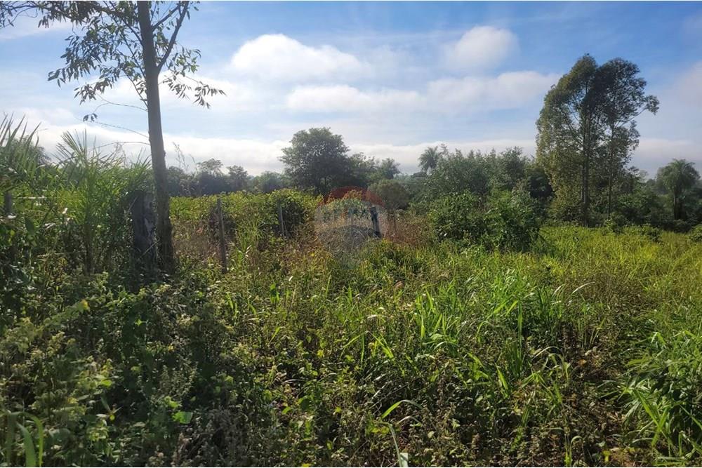 Finca Agrícola - Venta - Paraguay Caazapá Caazapá - 11.jpg - 143095004-83