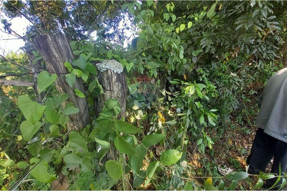 Finca Agrícola - Venta - Paraguay Caazapá Caazapá - photo_2025-01-13_11-23-00.jpg - 143095004-71