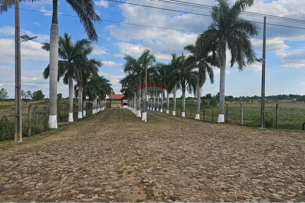 Bostad - Mark - Paraguay Cordillera Arroyos Y Esteros - PY - WhatsApp Image 2025-03-12 at 14.26.05.jpeg - 143094012-44