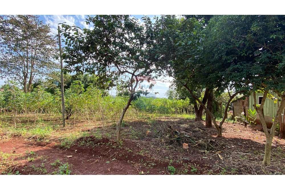 Residential - Jord - Paraguay Alto Paraná Minga Guazú - PY - IMG_6915.jpeg - 143050066-59