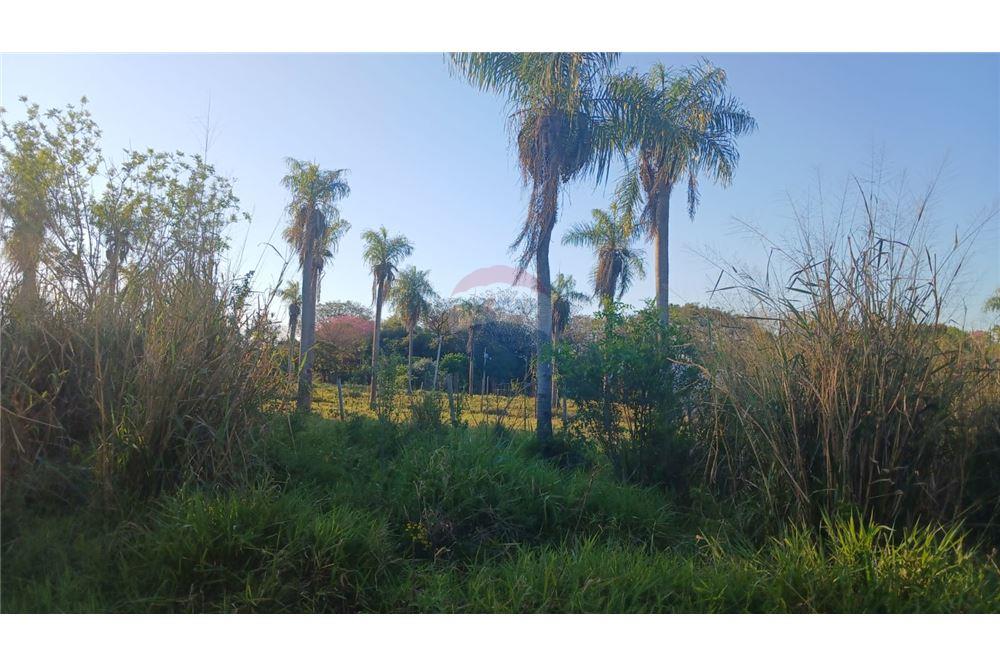 Residenziale - Terreno - Paraguay Central Itauguá - PY - 6 - 143014163-15