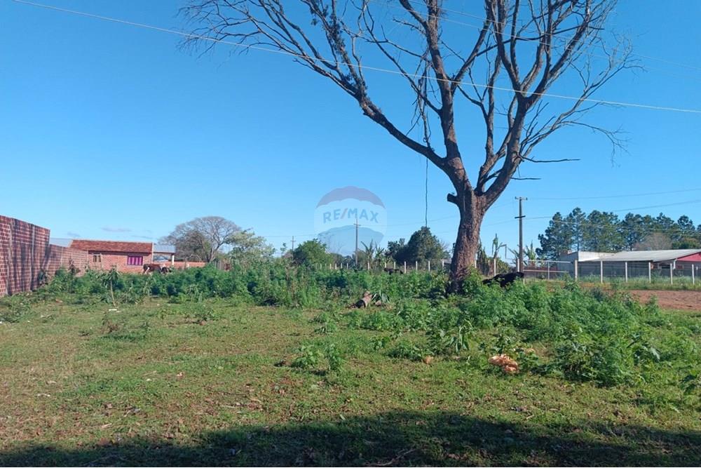 Residential - Land - Paraguay Itapúa Cambyretá - PY - WhatsApp Image 2025-08-22 at 10.52.13 (1).jpeg - 143011100-7