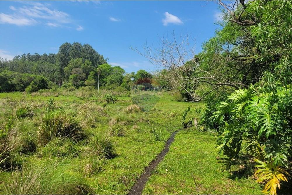 Finca Agrícola - Venta - Paraguay Caazapá San Juan Nepomuceno - 10.jpg - 143095004-90