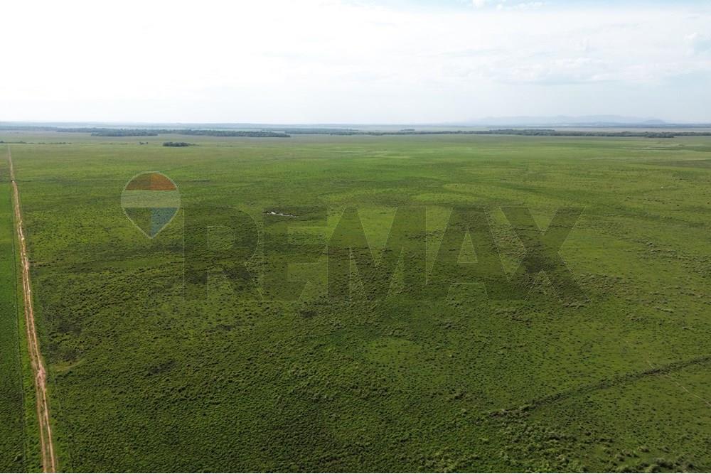 Commercieel - Boerderij - Paraguay Caaguazú Coronel Oviedo - PY - DJI_0651.JPG - 143050100-33