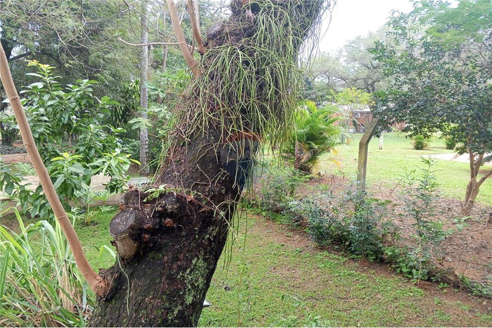 Casa de Verano - Venta - Paraguay Cordillera San Bernardino - 36 - 143026092-65