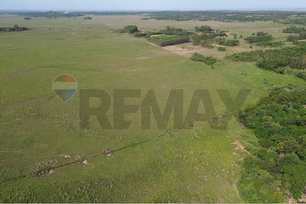 Commercieel - Boerderij - Paraguay Caaguazú Coronel Oviedo - PY - DJI_0630.JPG - 143050100-33