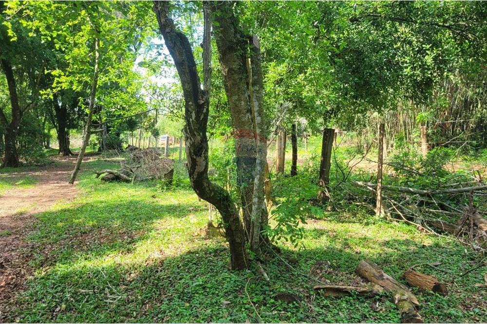 Finca Agrícola - Venta - Paraguay Caazapá San Juan Nepomuceno - 14.jpg - 143095004-90