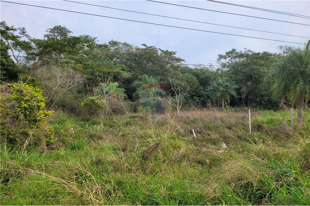 Residential - Lahan - Paraguay Central Ypané - PY - 9 - 143036045-196