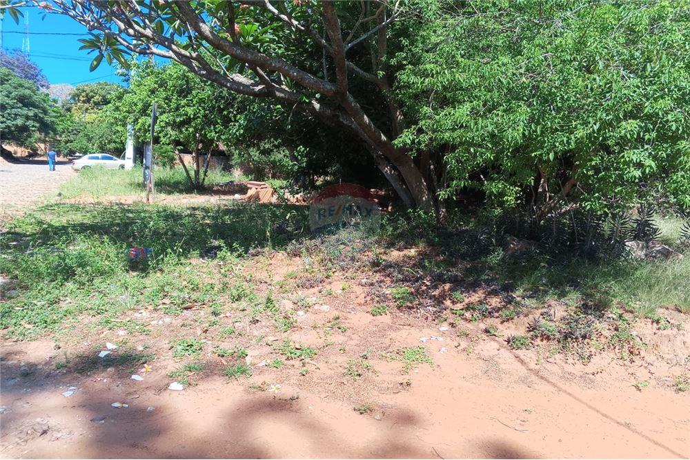 Terreno - Venta - Paraguay Central Villa Elisa - 2 - 143026092-51