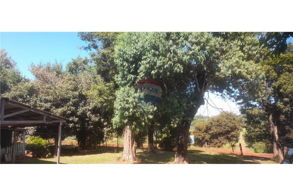 Residential - Land - Paraguay Alto Paraná Minga Guazú - PY - 8 - 143050095-29