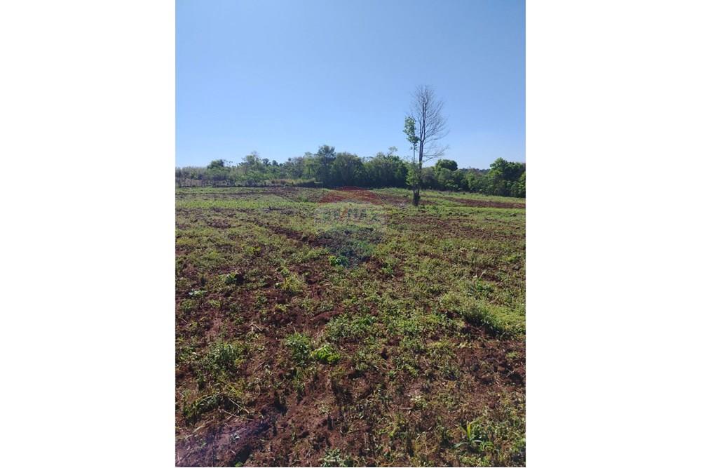 Commercial - Farm for Agriculture - Paraguay Alto Paraná Ciudad Del Este - PY - IMG_20251007_133339_426.jpg - 143050060-305