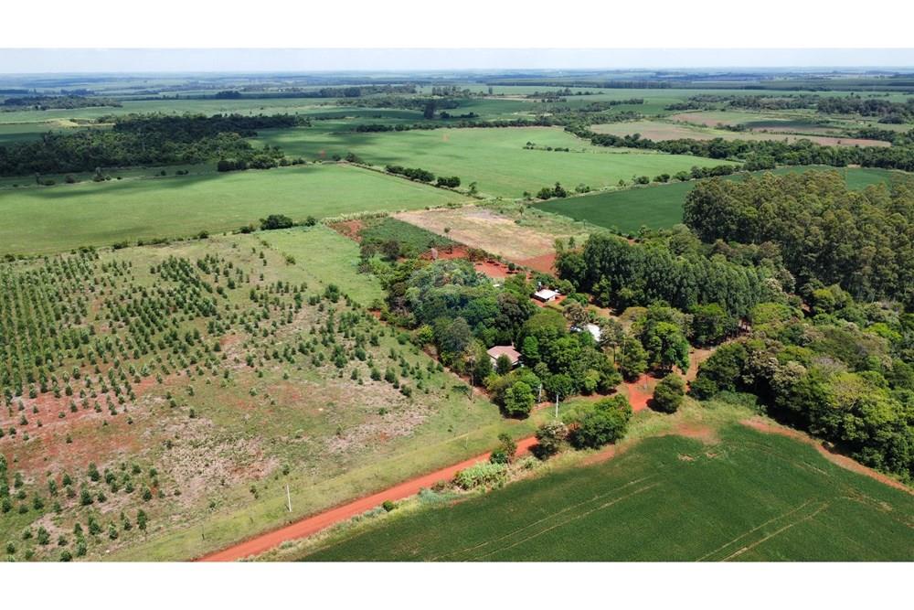 Επαγγελματικό - Φάρμα - Paraguay Alto Paraná Minga Guazú - PY - dji_fly_20250317_124110_320_1742229778520_photo_optimized.jpg - 143050128-38