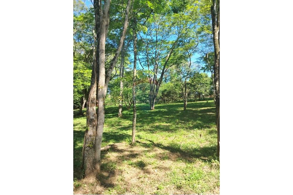 Commercial - Farm for Agriculture - Paraguay Alto Paraná Ciudad Del Este - PY - IMG_20251007_133414_950.jpg - 143050060-305