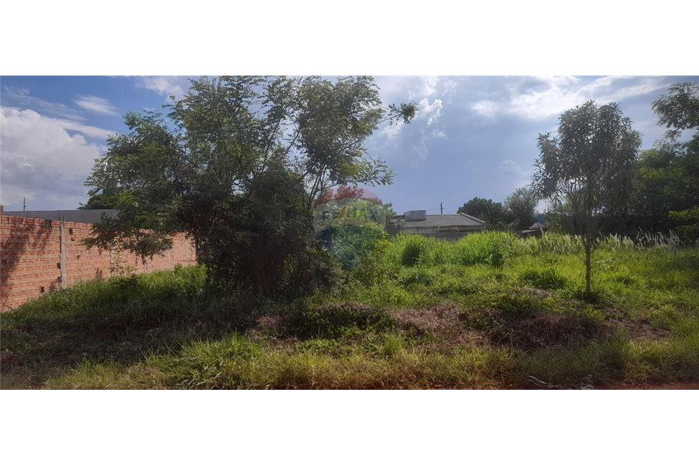 Residential - Land - Paraguay Alto Paraná Hernandarias - PY - 10 - 143050095-23