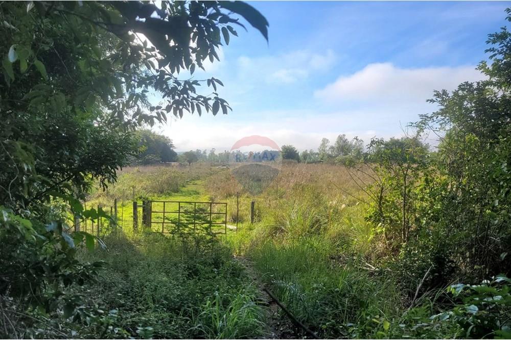 Finca Agrícola - Venta - Paraguay Caazapá Caazapá - 4.jpg - 143095004-83