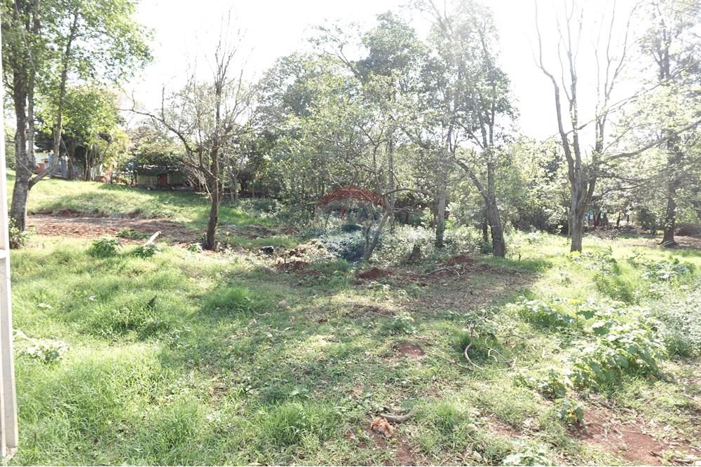 Residential - Land - Paraguay Alto Paraná Minga Guazú - PY - DSC00333.JPG - 143050081-118