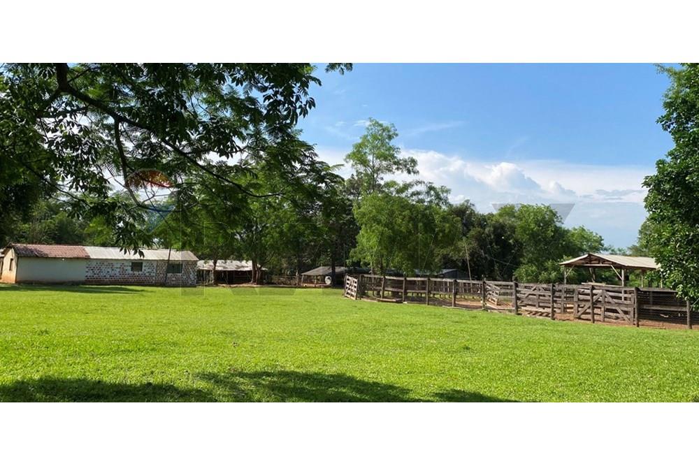 Commercieel - Boerderij - Paraguay Caaguazú Coronel Oviedo - PY - IMG_8292.jpeg - 143050100-33