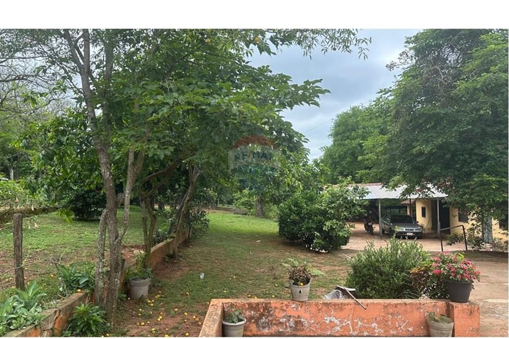 Residential - Land - Paraguay Cordillera Piribebuy - PY - WhatsApp Image 2025-06-05 at 13.11.03 (1).jpeg - 143050002-204