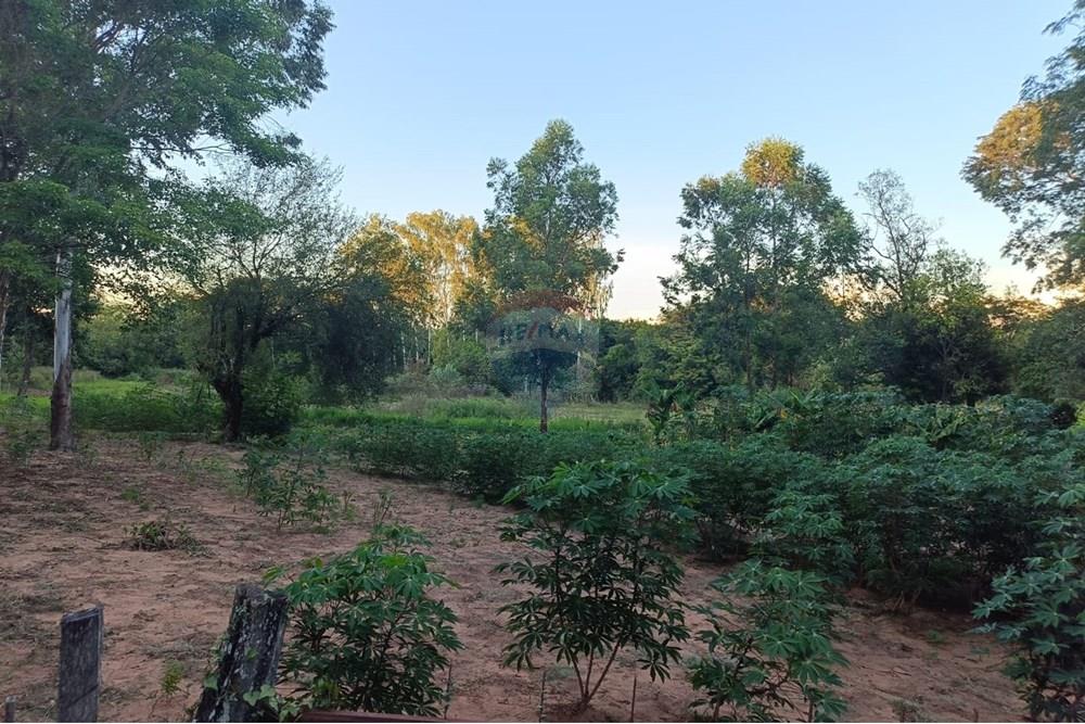 Terreno - Venta - Paraguay Central Aregua - WhatsApp Image 2025-02-07 at 9.06.04 AM.jpeg - 143095028-7