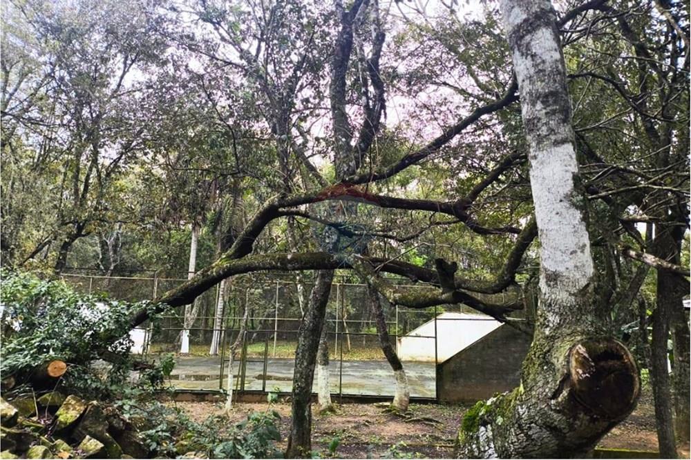 Residential - Jord - Paraguay Caaguazú Coronel Oviedo - PY - 2.jpg - 143063128-220