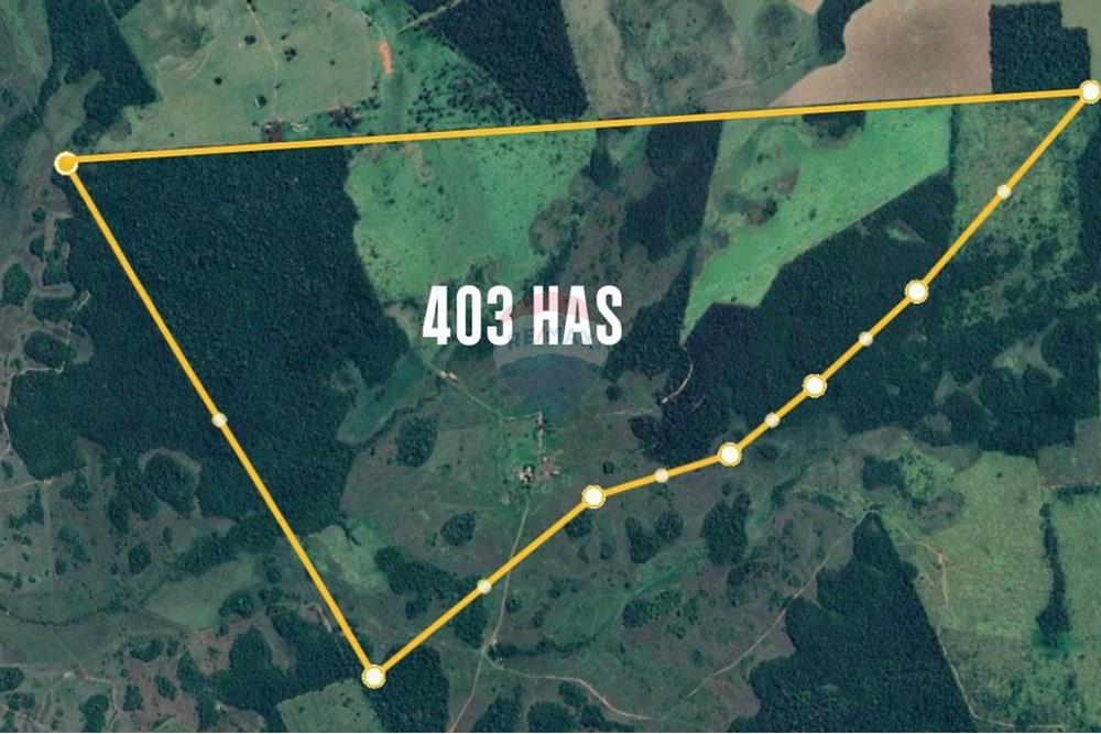 Commercial - Farm - Paraguay San Pedro General Elizardo Aquino - PY - IMG_20250617_165553_482.jpg - 143050060-297