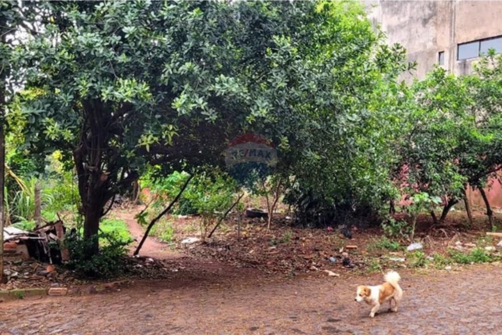 Gyvenamasis - Žemės sklypas - Paragvajus Alto Paraná Ciudad Del Este - PY - T CDE 6.jpeg - 143094036-28