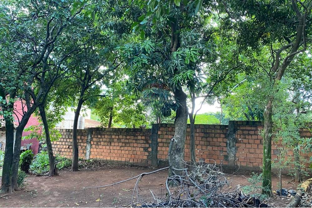 Жилищен - Поземлен имот - Парагвай Central San Lorenzo - PY - 05781a6d-9e50-410f-8ecb-b1136f3875ae.jpeg - 143080161-6