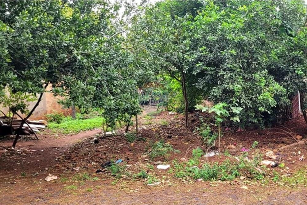 Gyvenamasis - Žemės sklypas - Paragvajus Alto Paraná Ciudad Del Este - PY - T CDE 7.jpeg - 143094036-28